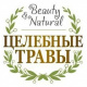 Целебные травы